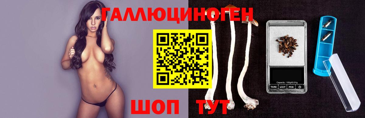 Гудермес  Галлюциногенные грибы прущие грибы  Вход с VPN 