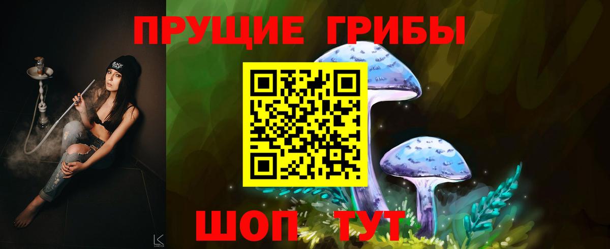 Галлюциногенные грибы Psilocybe Гудермес